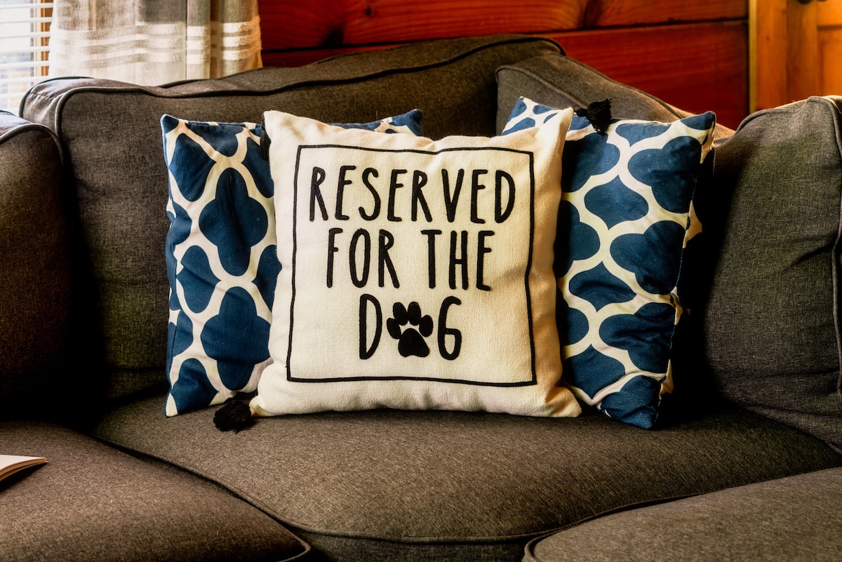 Pet-Friendly — 'Reserved for the Dog' Pillow