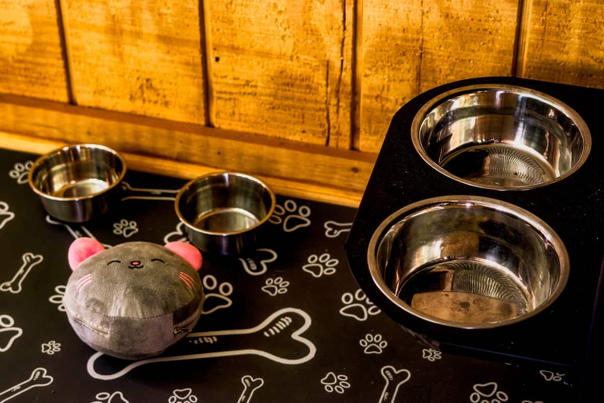Dog Feeding Station with Bowls Provided