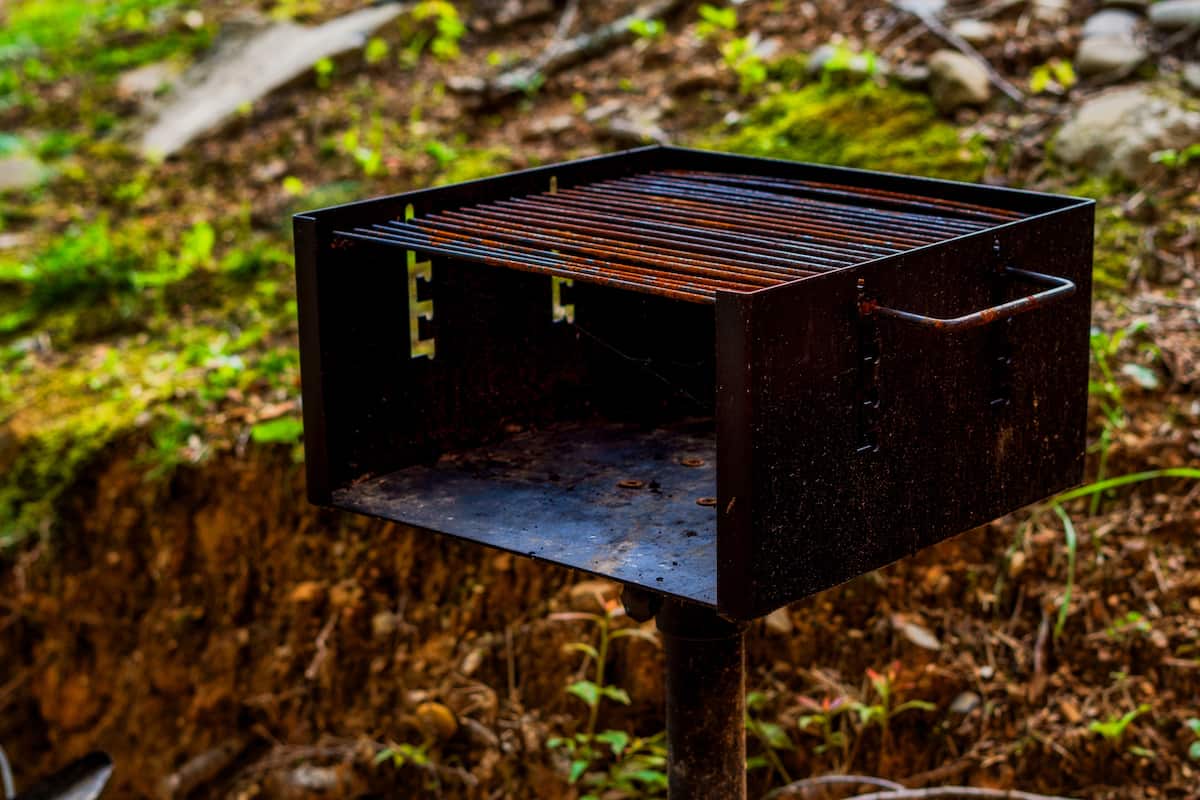 Park Grill for Outdoor Cooking