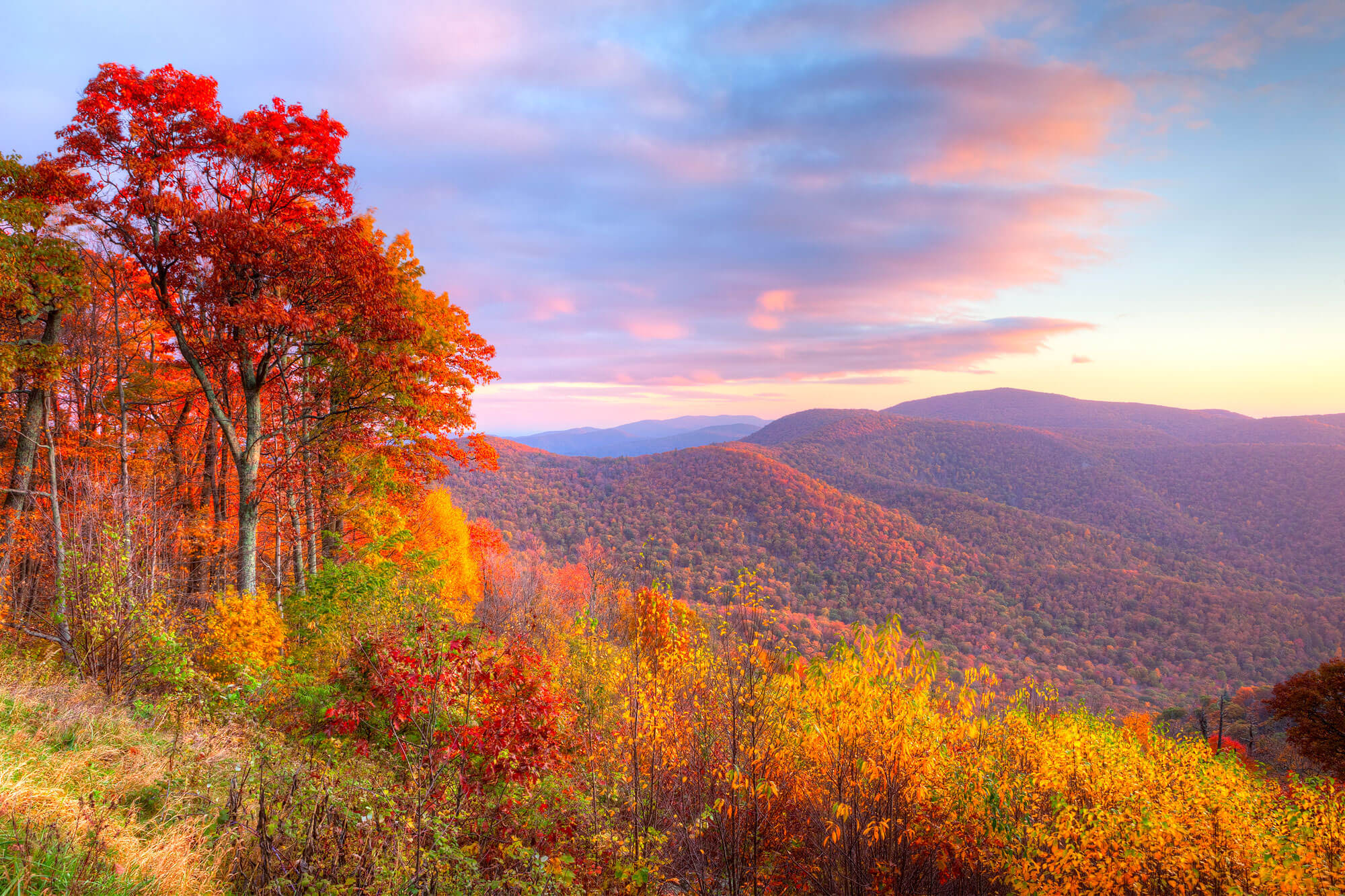 Fall foliage in the Great Smoky Mountains